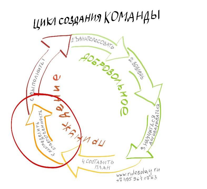 Пошаговый алгоритм создания команды единомышленников. Часть 5. Распределите ответственность
