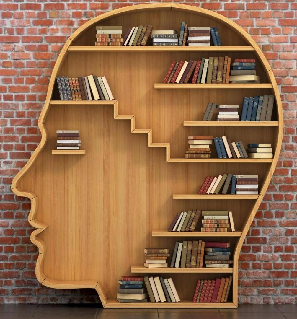 10 базовых книг о мозге и его возможностях