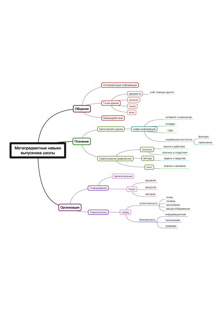 metapredmetnye-navyki-vypusknika-shkoly-avtor-vladimir-kayuchenko (1).jpg